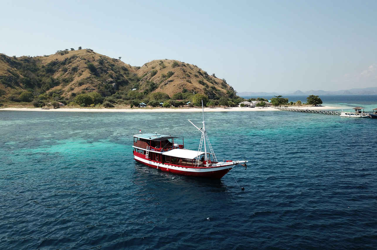 Queenesia Image