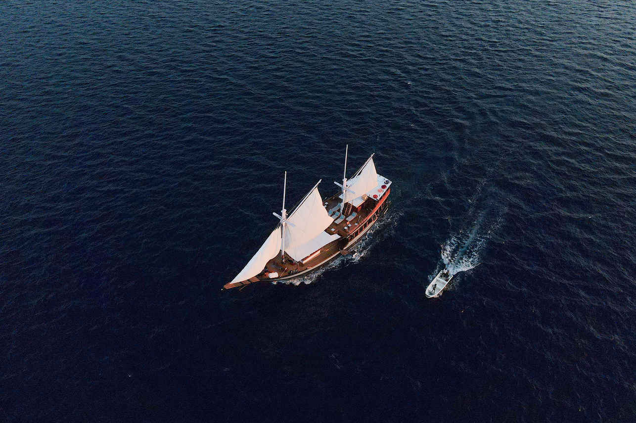 Queenesia II