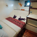 Cabin thumbnail 12