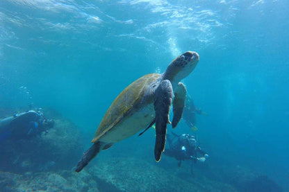 Raja Ampat Explorer