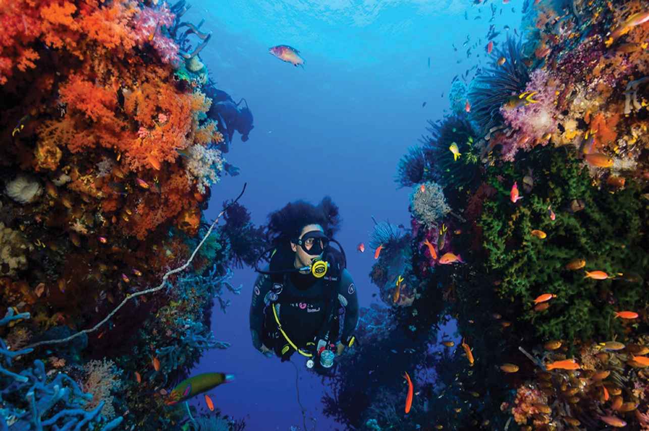 Raja Ampat Aggressor