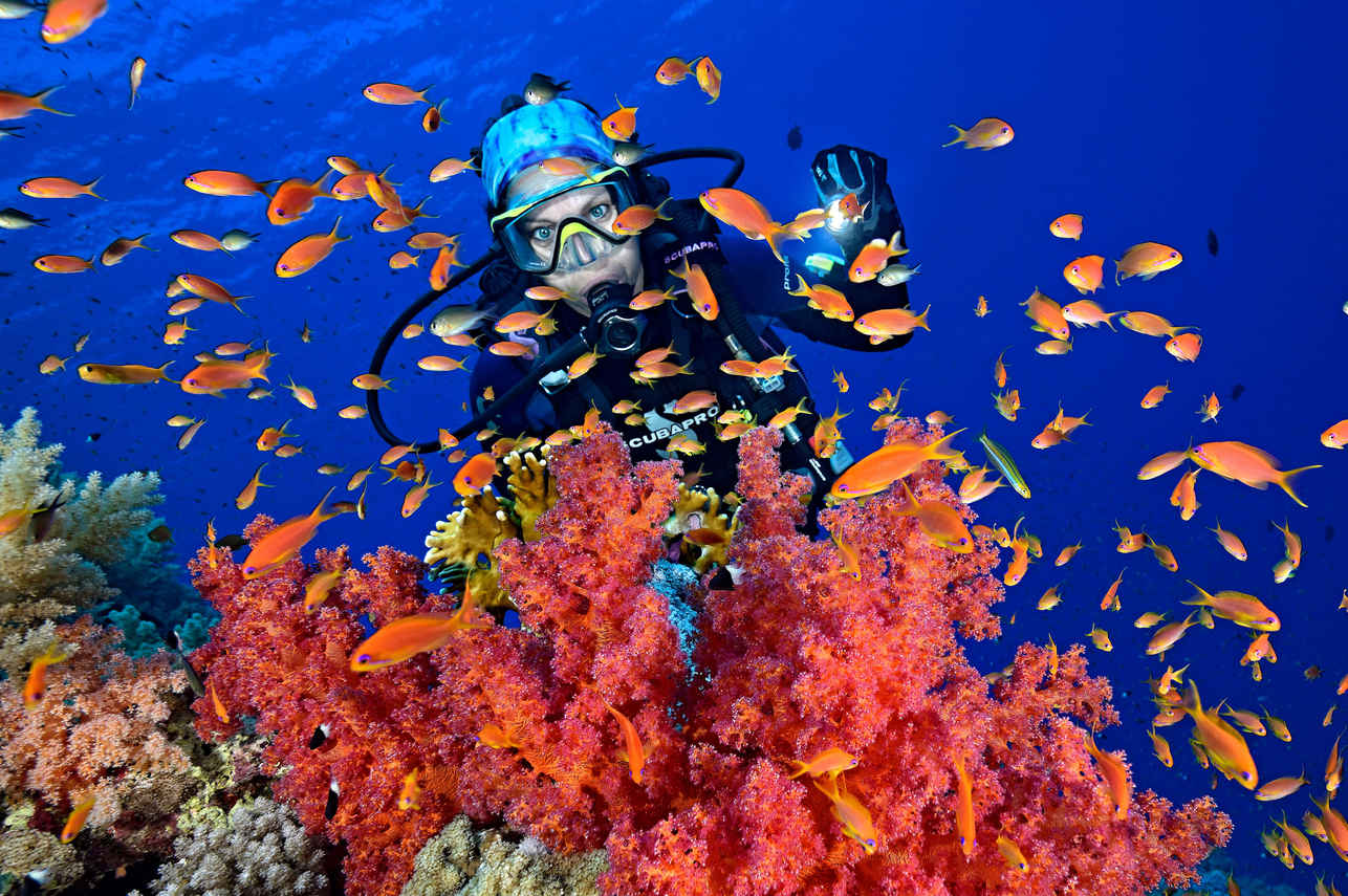 Red Sea Aggressor V