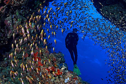 Red Sea Aggressor V