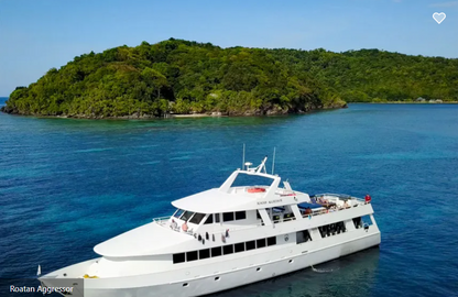 Roatan Aggressor