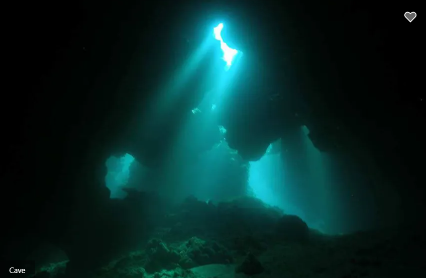 Roatan Aggressor