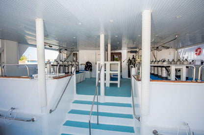 Royal Evolution Liveaboard
