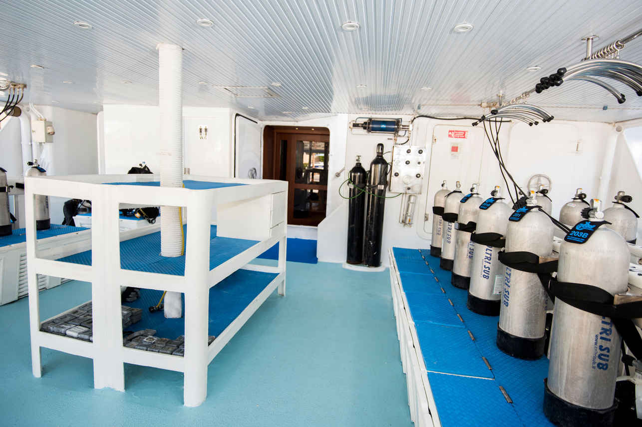 Royal Evolution Liveaboard