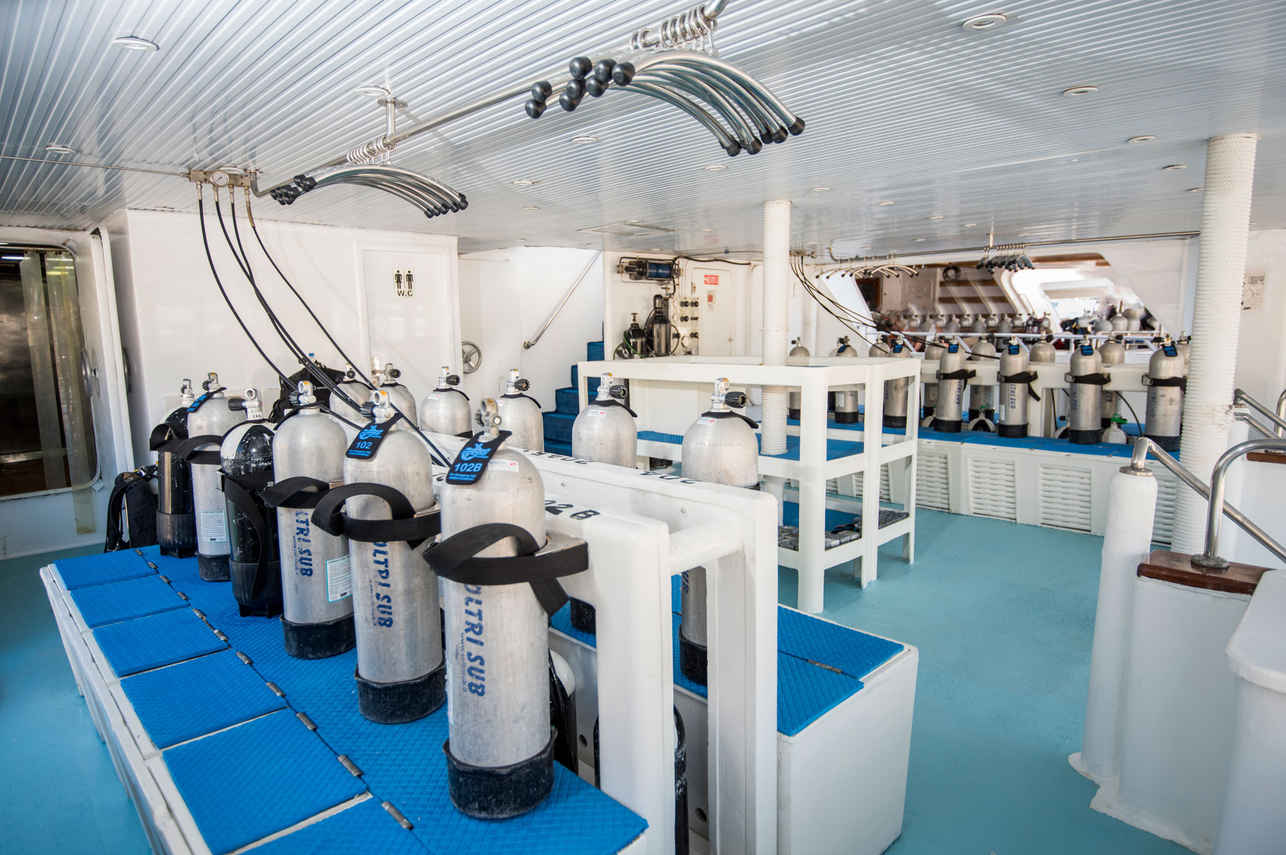Royal Evolution Liveaboard