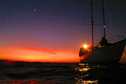 Rum Runner Liveaboard