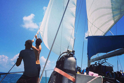 Rum Runner Liveaboard