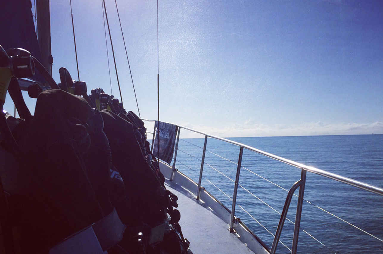 Rum Runner Liveaboard