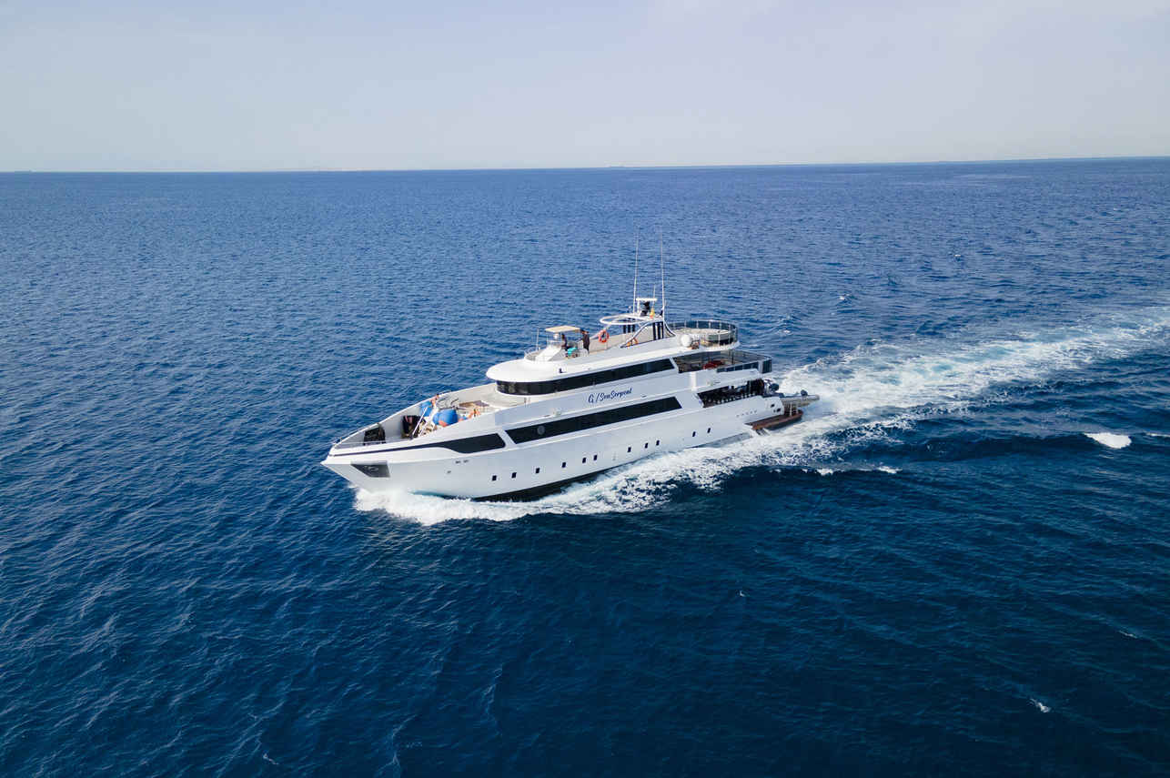SS Serena Dreams Liveaboard