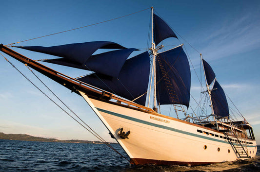 Samambaia Liveaboard