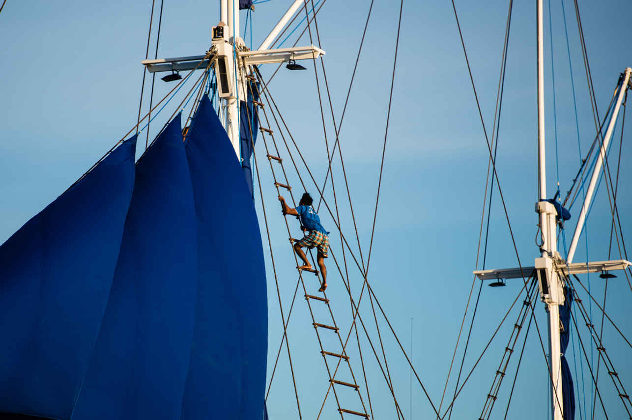 Samambaia Liveaboard