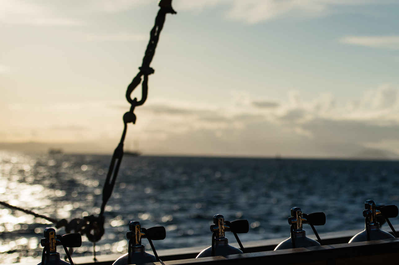 Samambaia Liveaboard