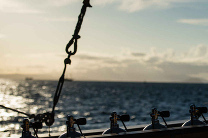 Samambaia Liveaboard