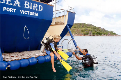 Sea Bird and Sea Star