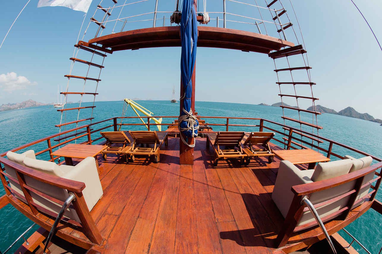 Sea Safari VI