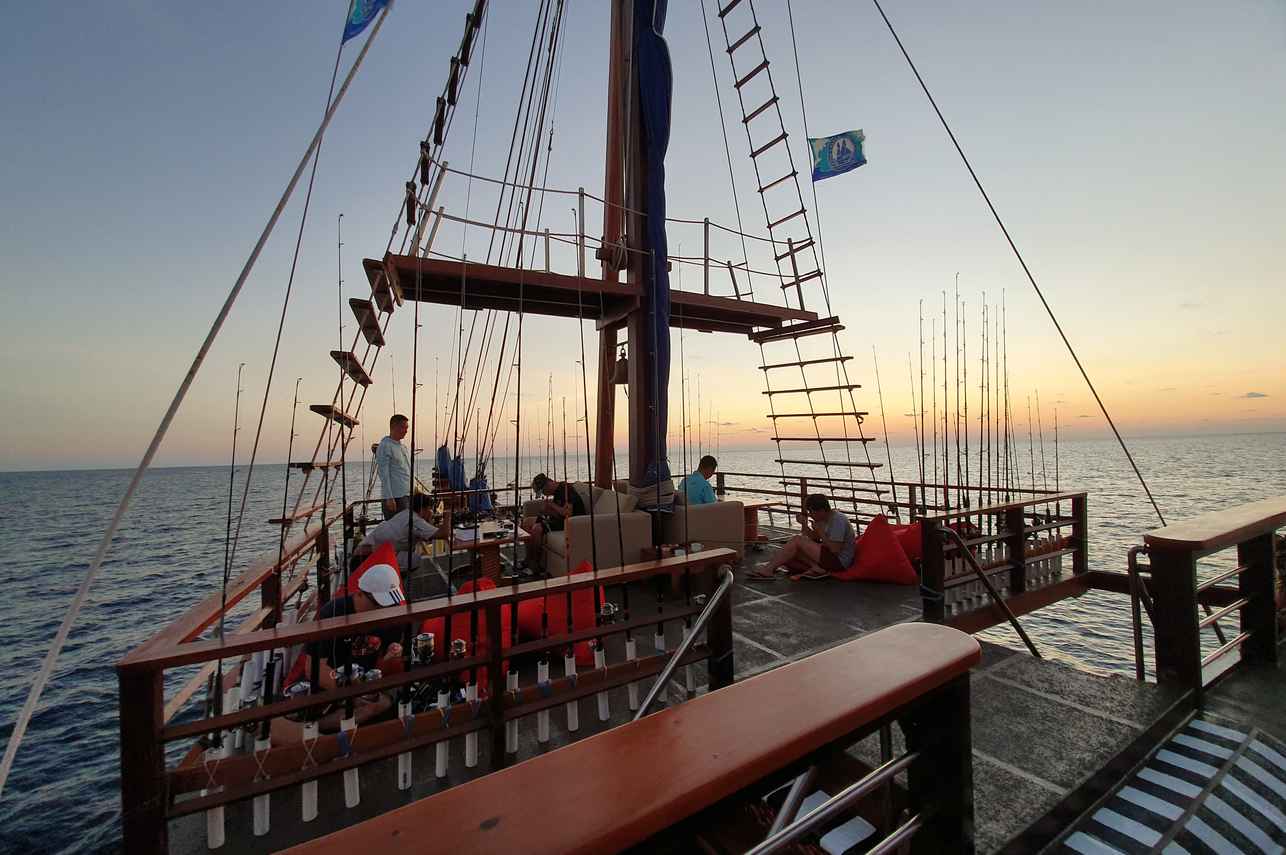 Sea Safari VI