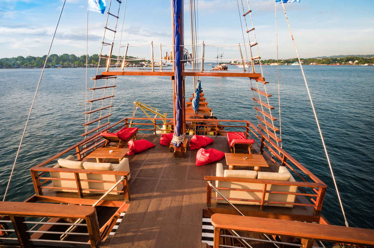 Sea Safari VI