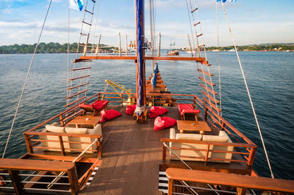 Sea Safari VI