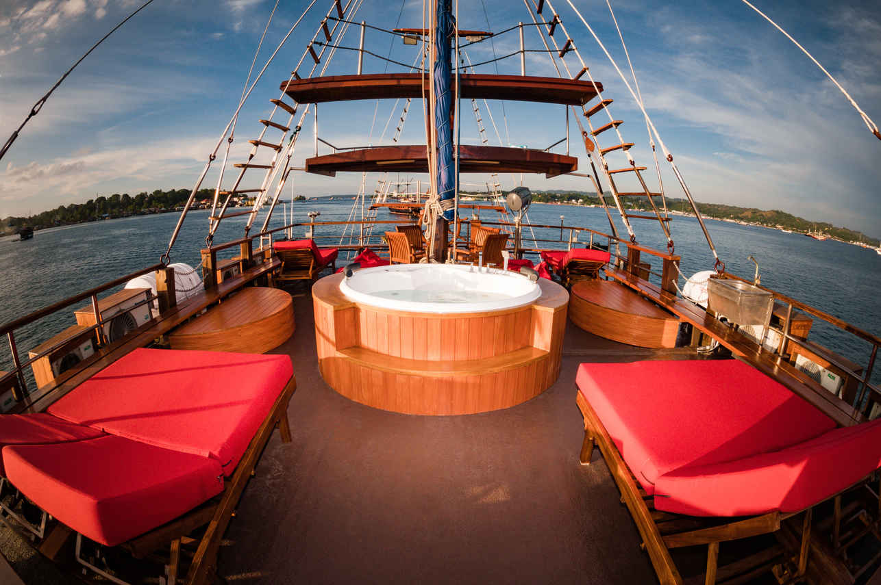 Sea Safari VI