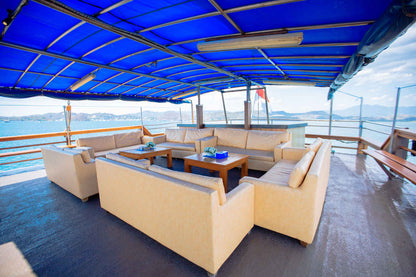 Sea Safari VI