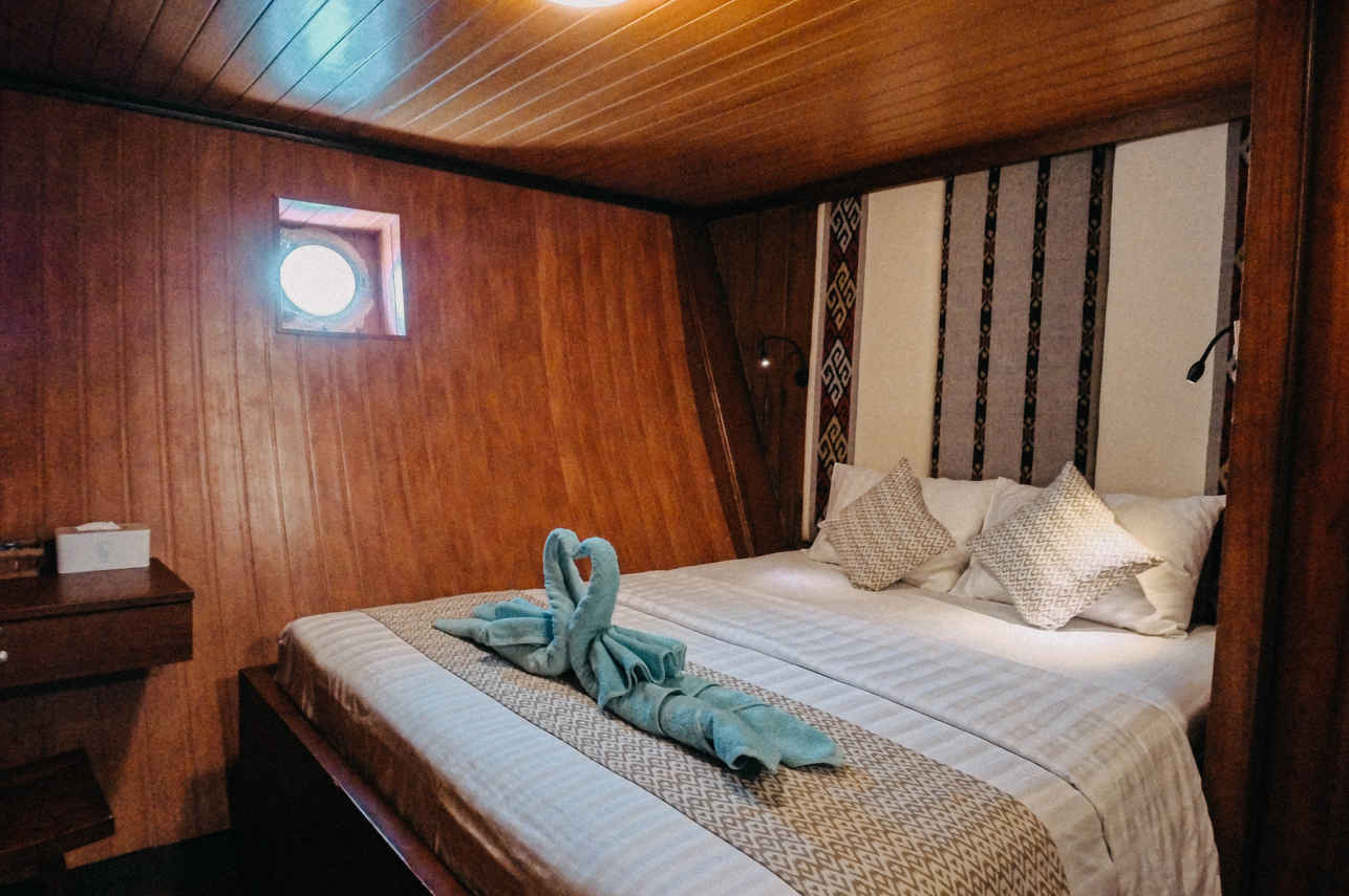 Sea Safari VI