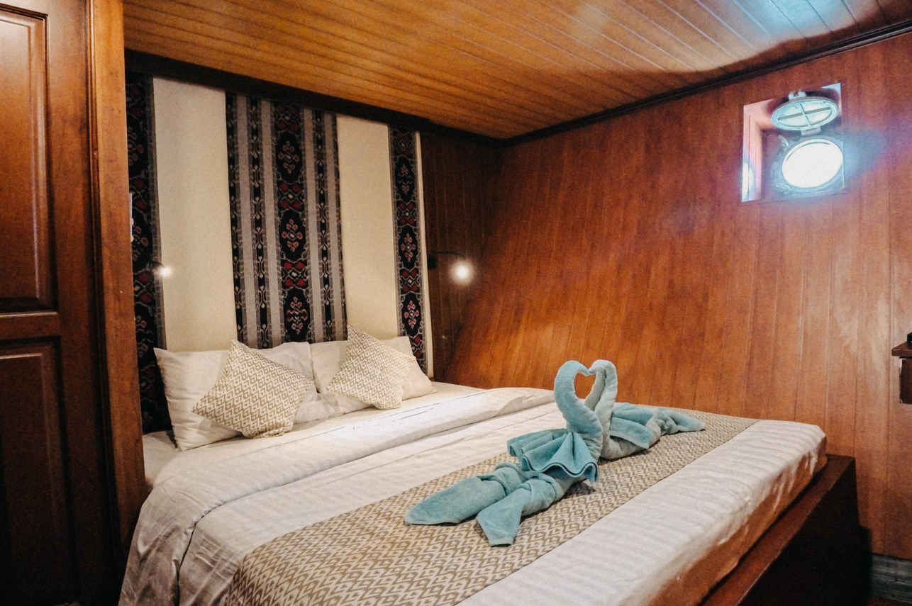 Sea Safari VI