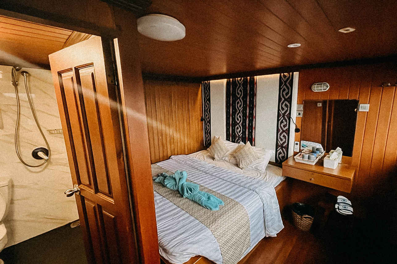 Sea Safari VI