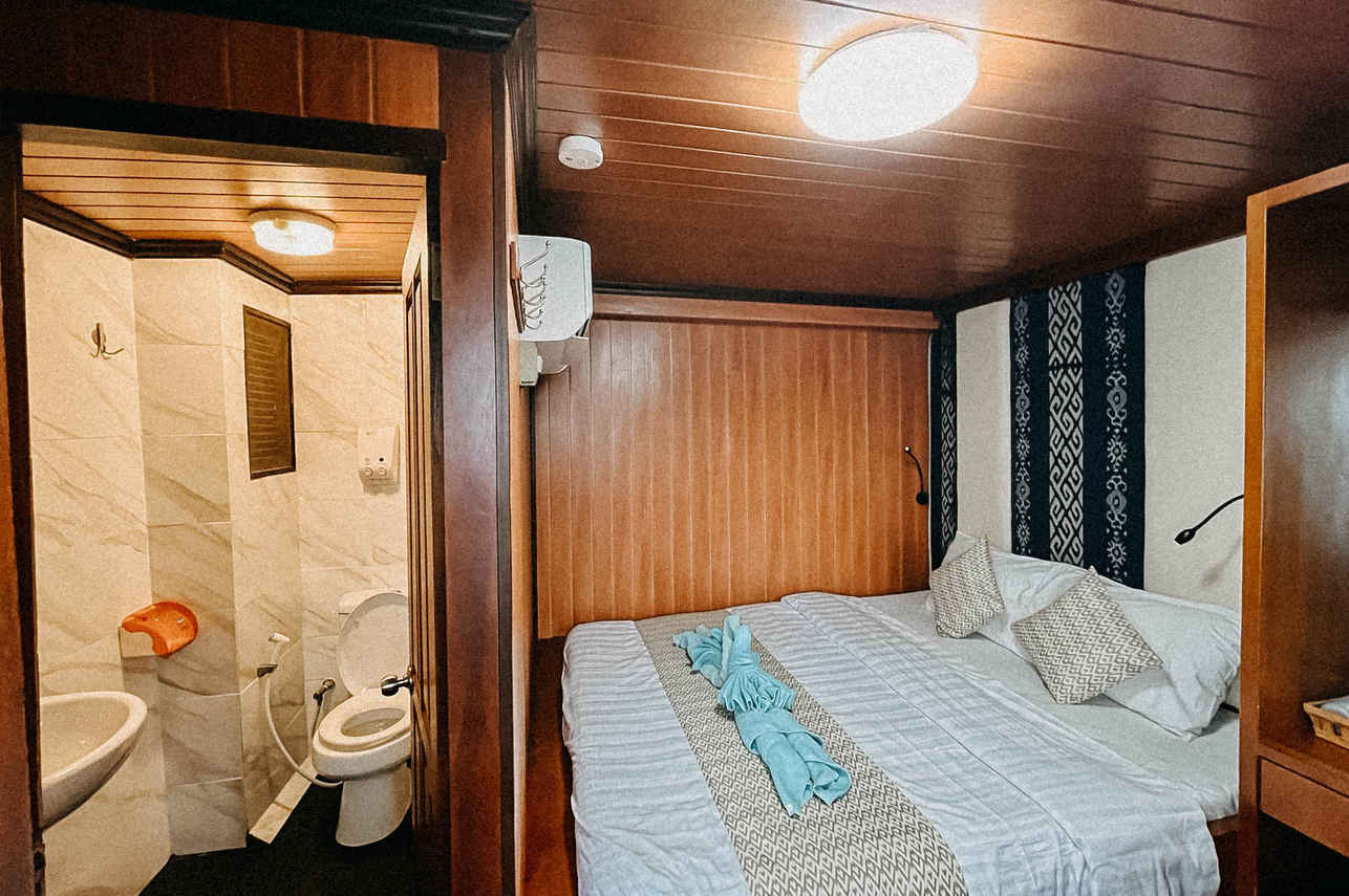Sea Safari VI