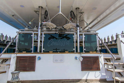 Sea Serpent Contessa