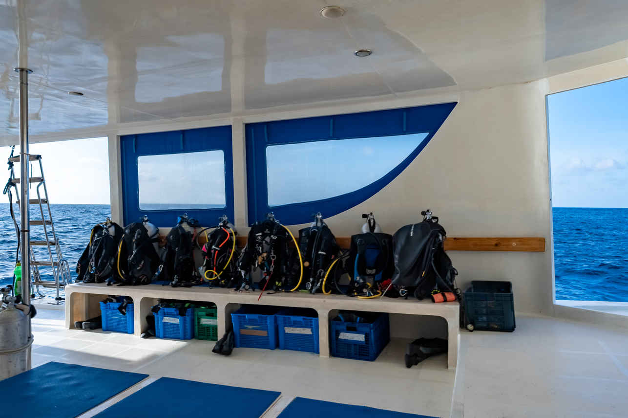Seafari Explorer 2