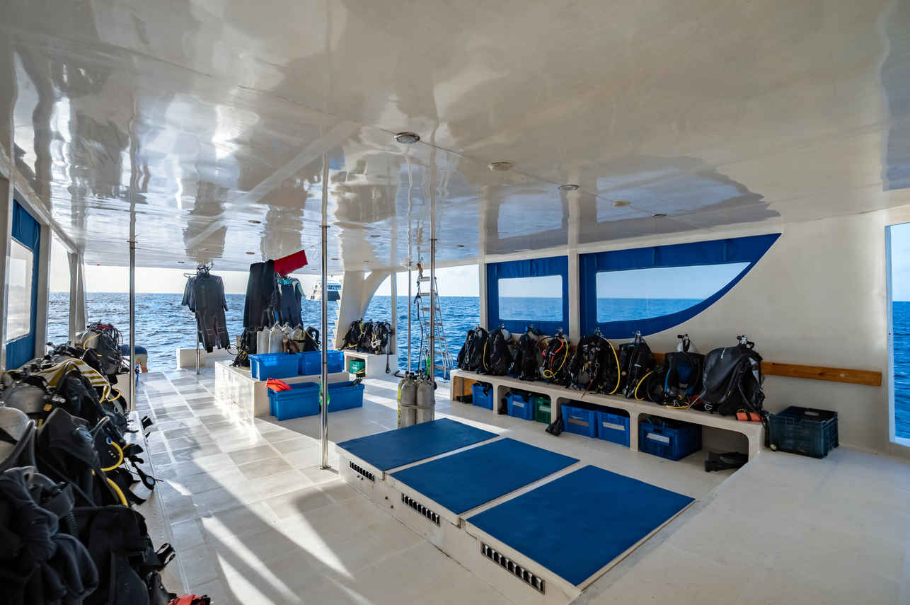 Seafari Explorer 2