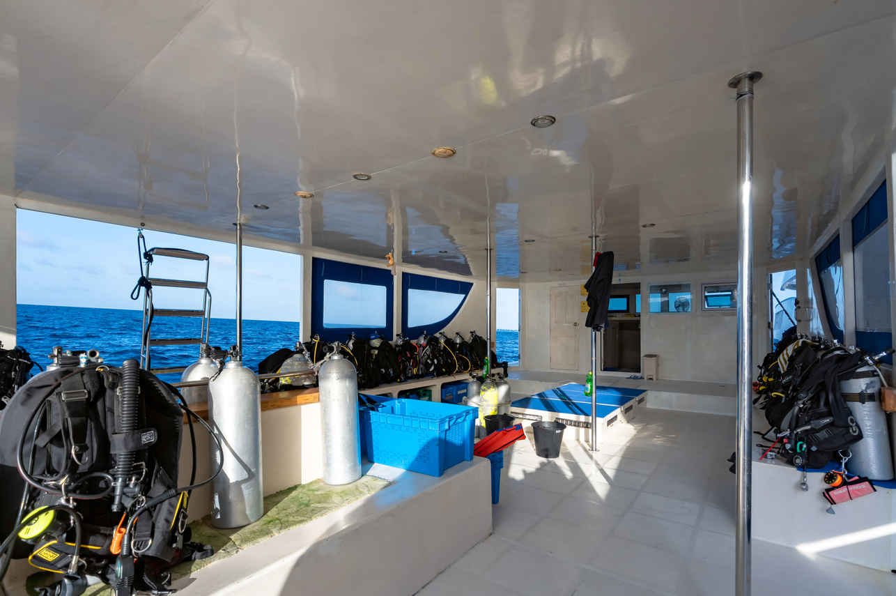 Seafari Explorer 2