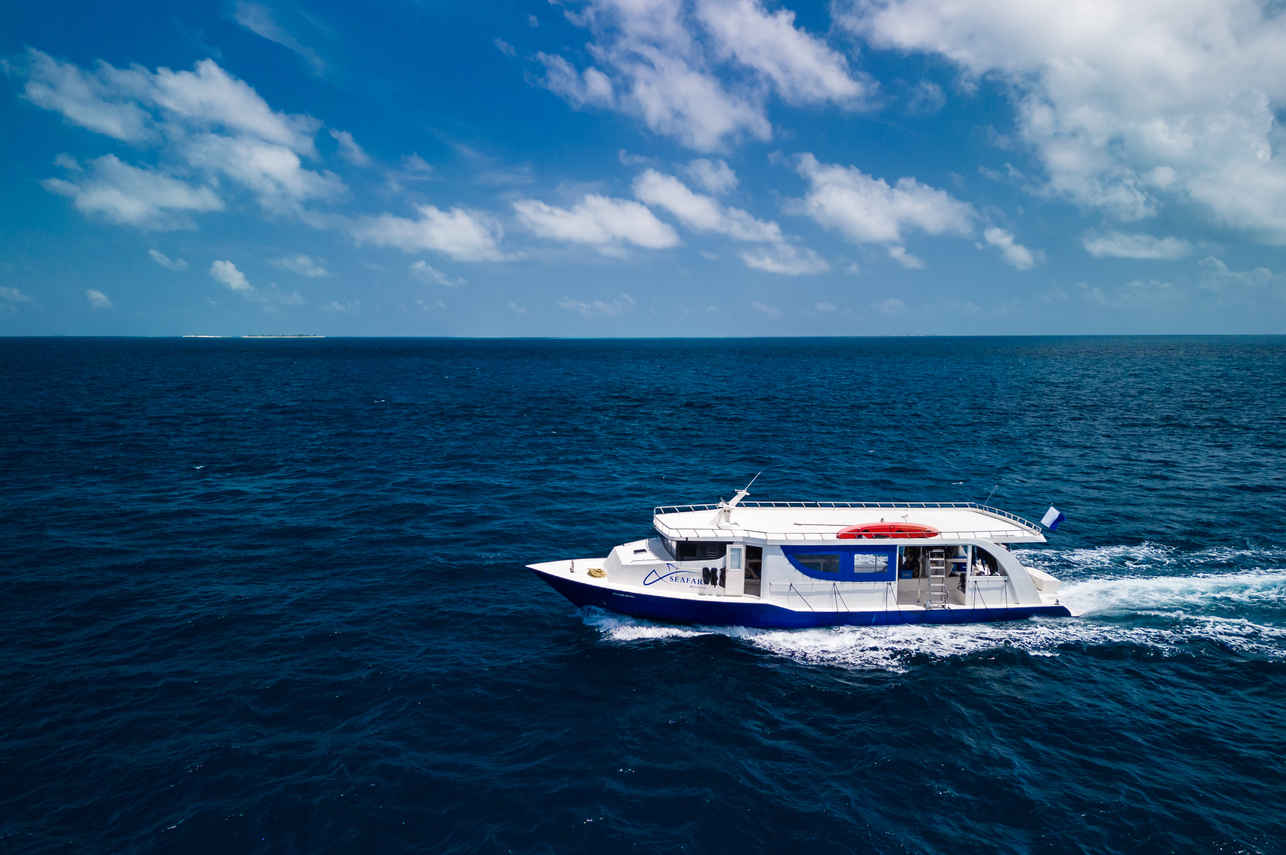 Seafari Explorer 2