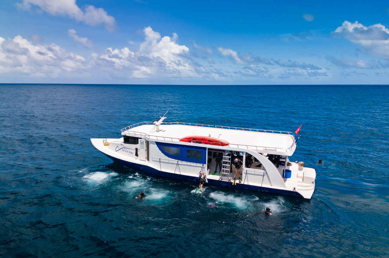 Seafari Explorer 2