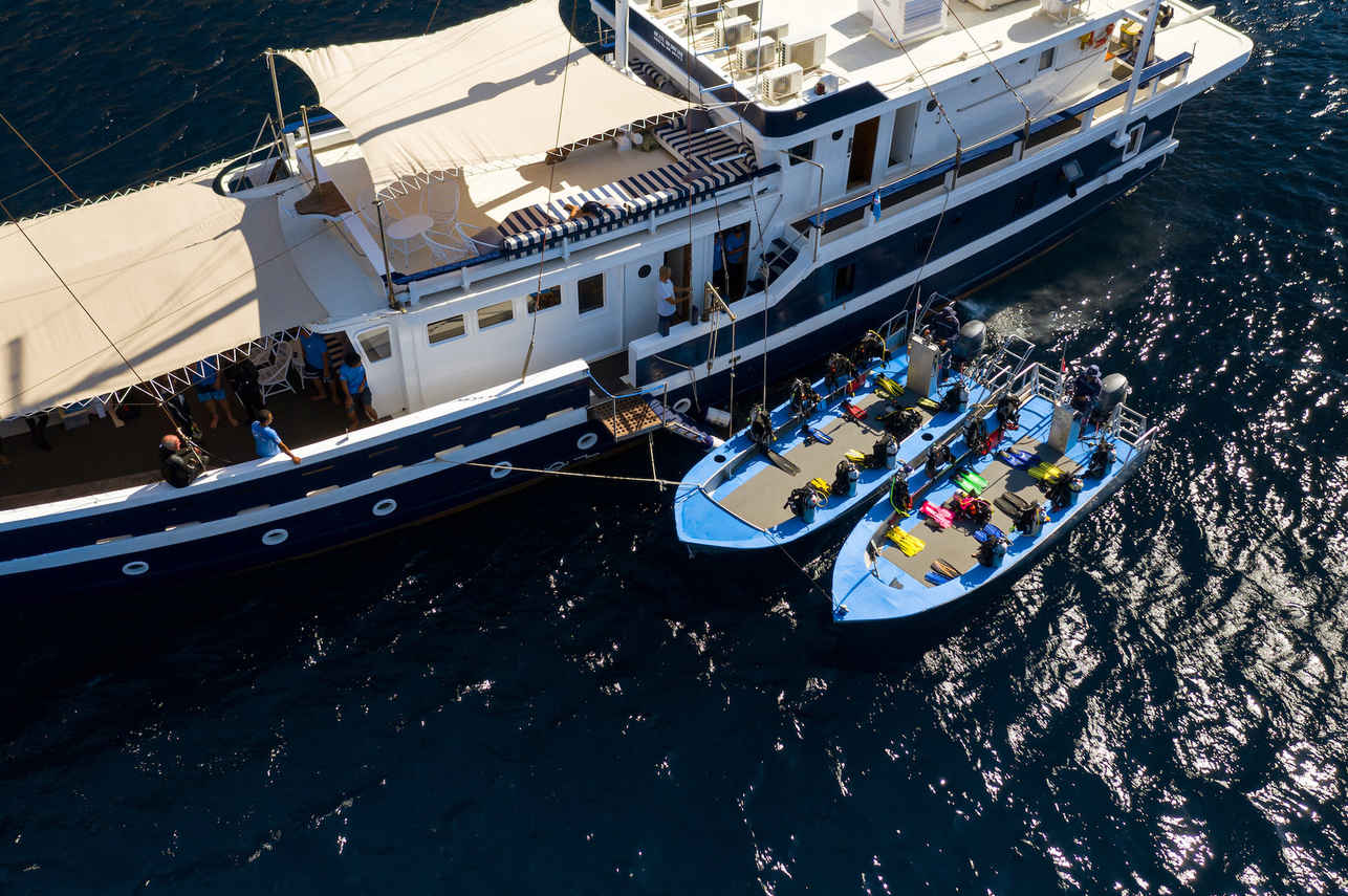 Seahorse Liveaboard