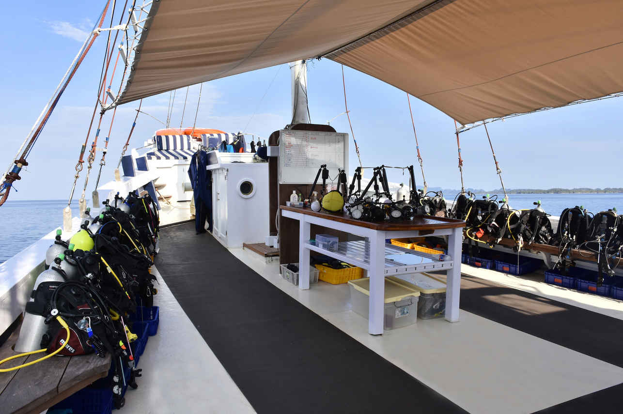 Seahorse Liveaboard
