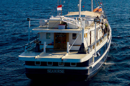 Seahorse Liveaboard