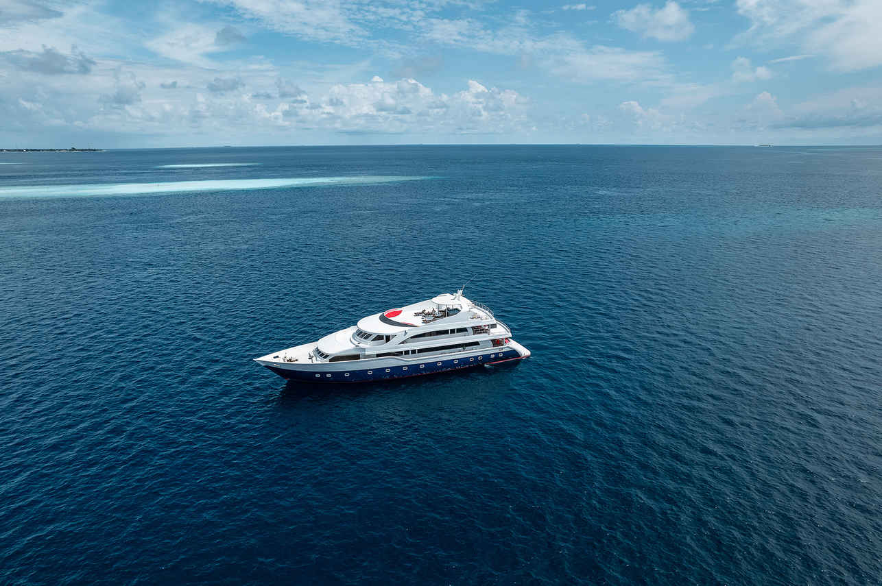 Searose II Liveaboard