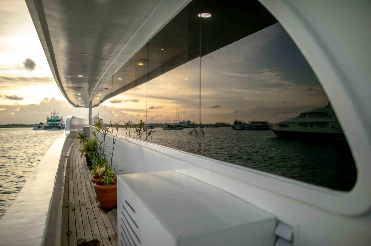 Searose II Liveaboard