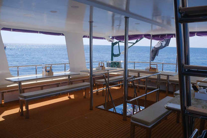 Seatopia Liveaboard
