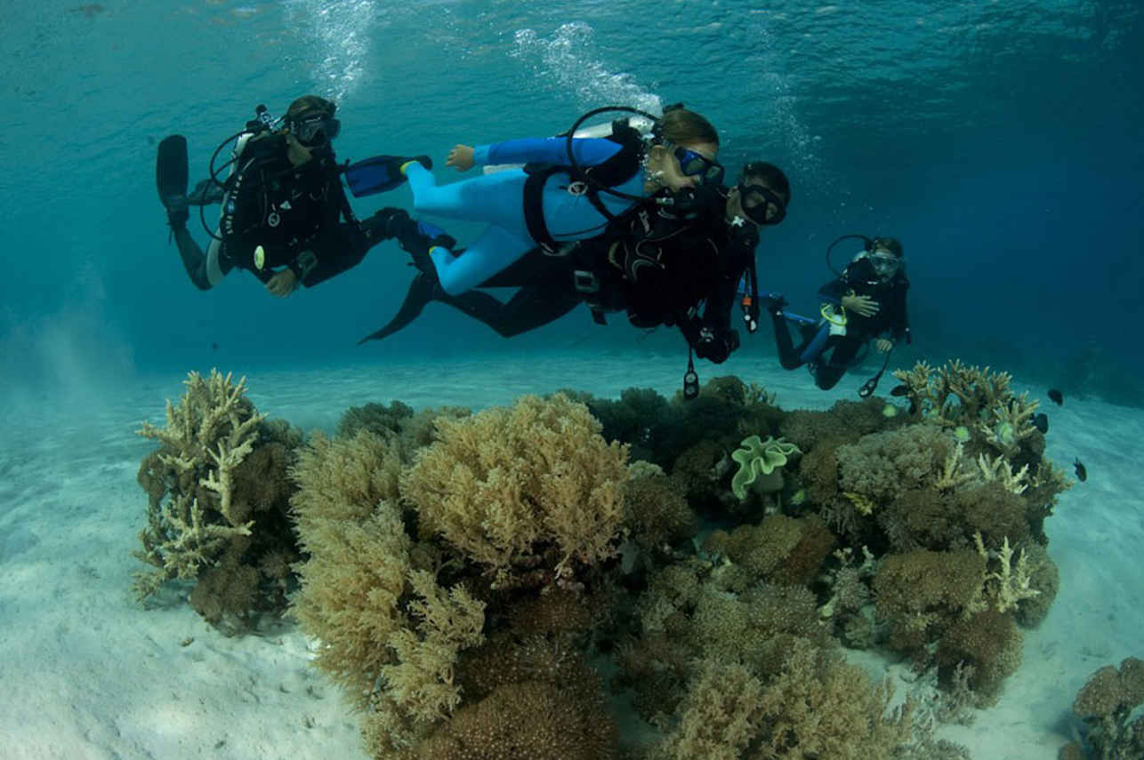 Seven Seas Liveaboard