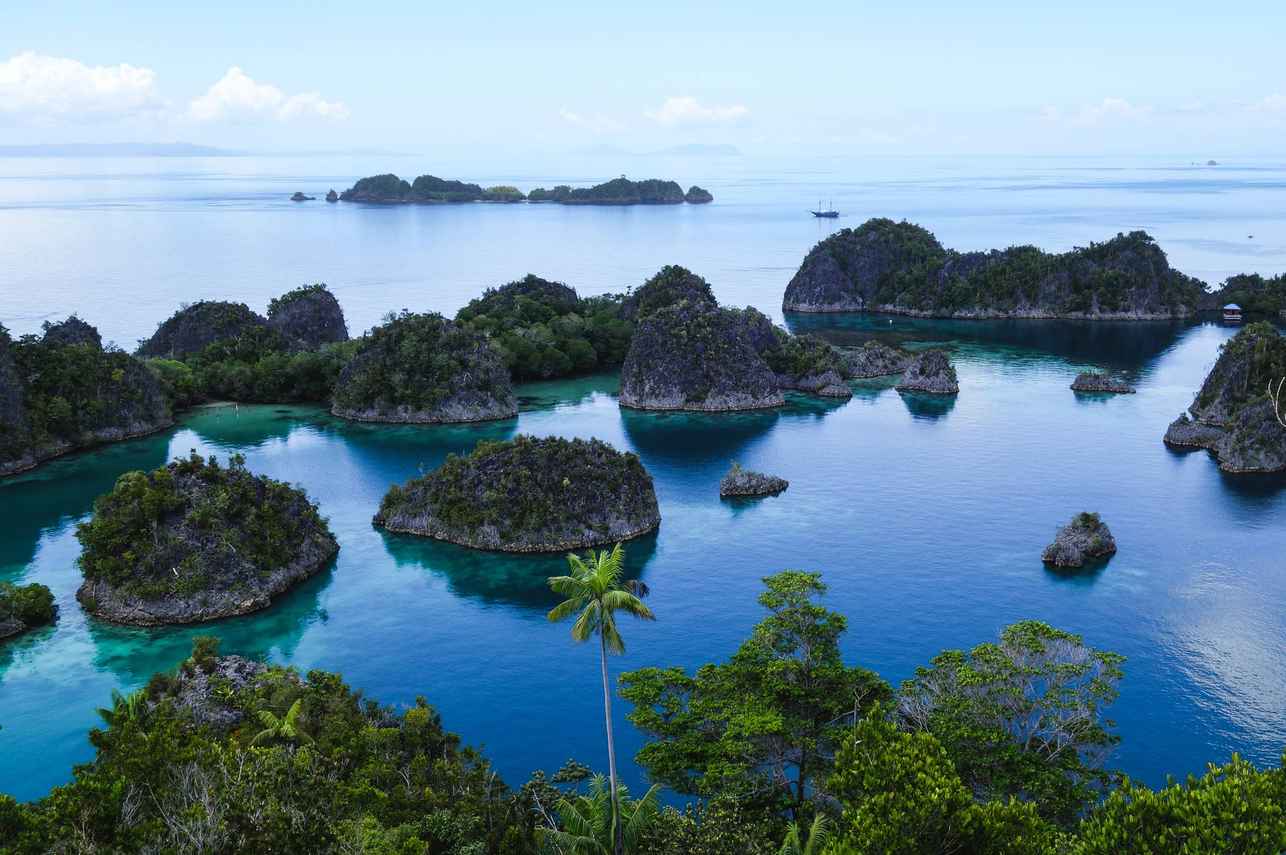 Shakti Liveaboard
