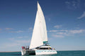 Shore Thing Catamaran