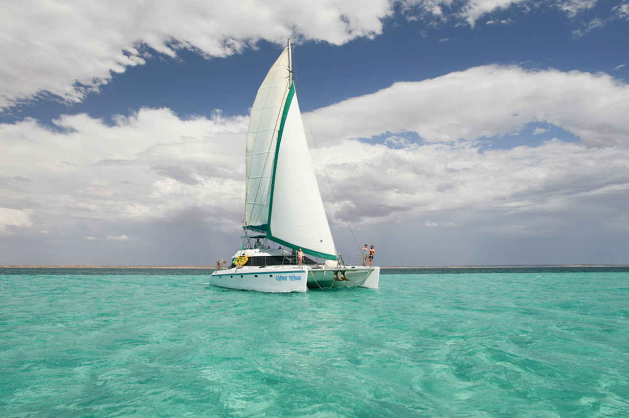 Shore Thing Catamaran