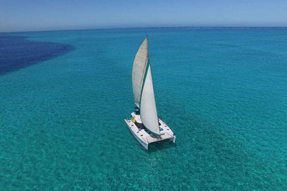 Shore Thing Catamaran