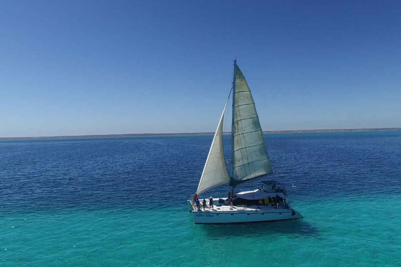 Shore Thing Catamaran