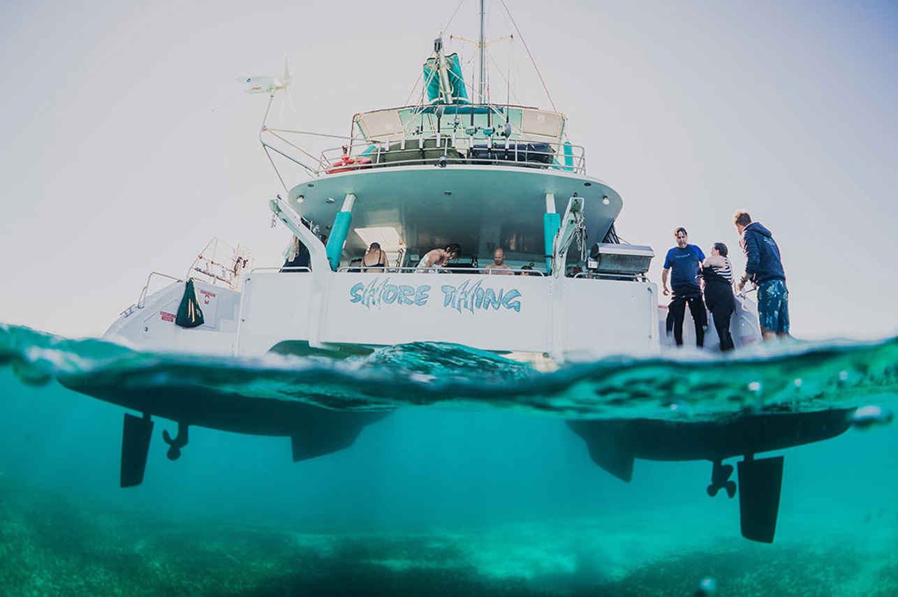 Shore Thing Catamaran